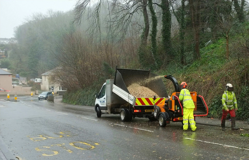 Tree Removal